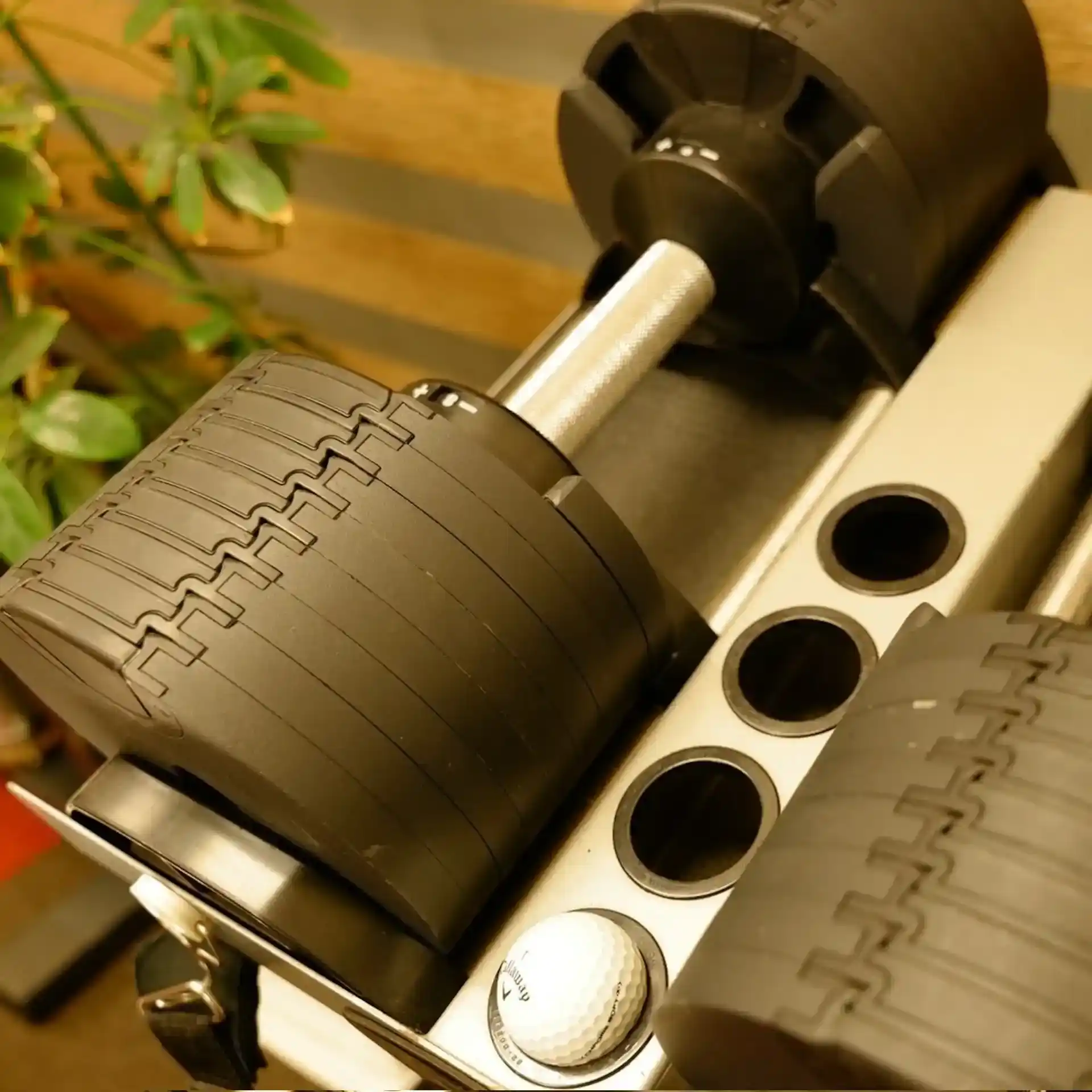 吉祥寺本店 ギャラリー